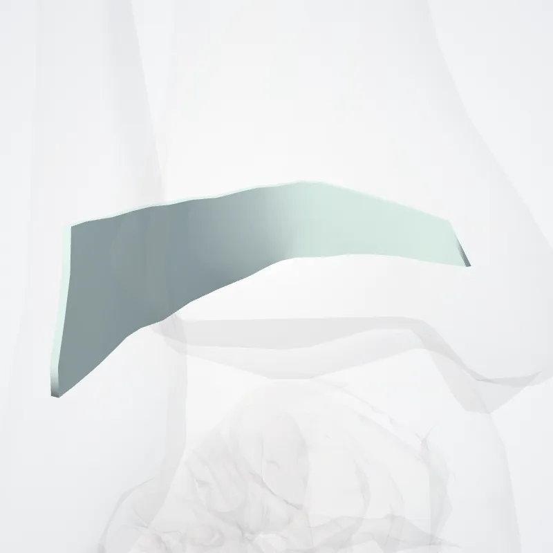 Inferior extensor retinaculum of ankle (Retinaculum extensorium inferius tali) highlighted in a 3D model of the human body