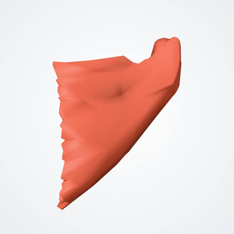 Inferior head of lateral pterygoid muscle (Caput inferius musculi pterygoidei lateralis) highlighted in a 3D model of the human body