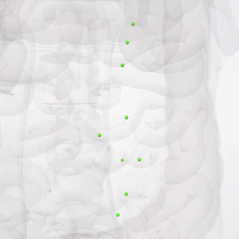 Inferior mesenteric nodes (Nodi mesenterici inferiores) highlighted in a 3D model of the human body