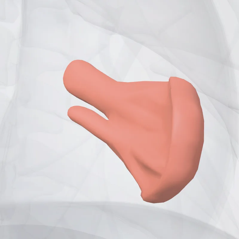Inferior papillary muscle of left ventricle (Musculus papillaris inferior ventriculi sinistri) highlighted in a 3D model of the human body