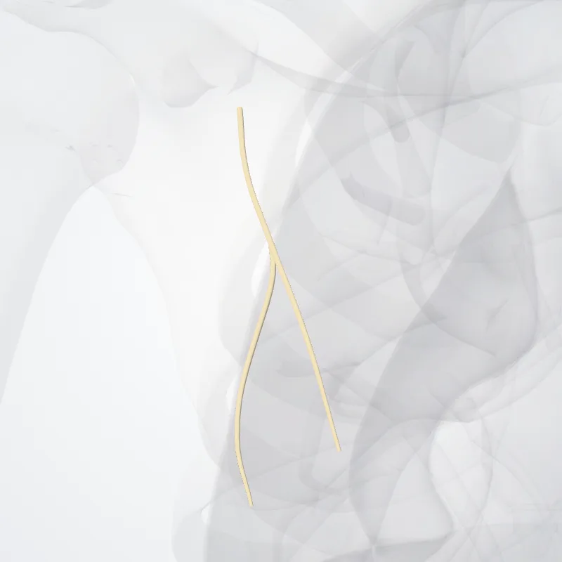 Nervus subscapularis inferior (Inferior subscapular nerve) hervorgehoben in einem 3D-Modell des menschlichen Körpers
