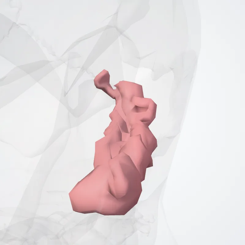 Gyrus temporalis inferior (Inferior temporal gyrus) hervorgehoben in einem 3D-Modell des menschlichen Körpers