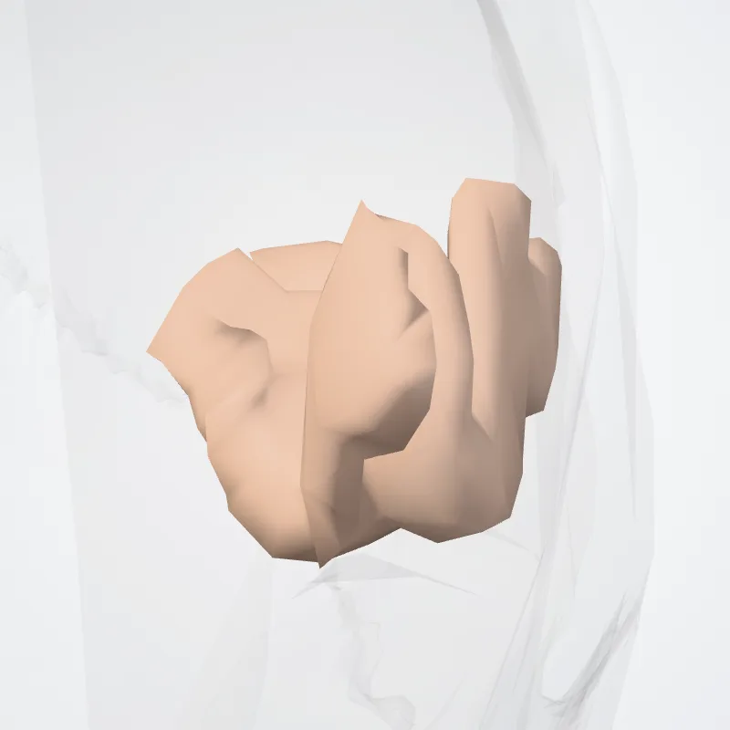 Insula (Subcentral gyrus and ant. and post. sulci*) hervorgehoben in einem 3D-Modell des menschlichen Körpers