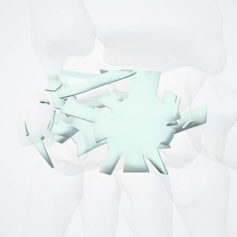 Articulationes intercarpeae (Intercarpal joints) hervorgehoben in einem 3D-Modell des menschlichen Körpers
