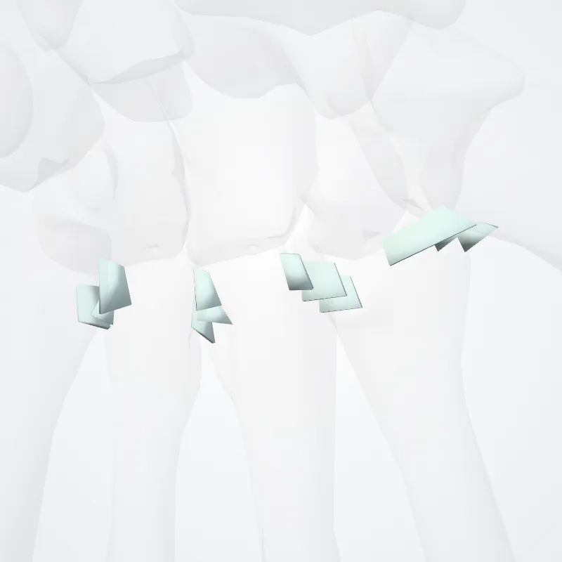 Intermetacarpal joints (Articulationes intermetacarpeae) highlighted in a 3D model of the human body