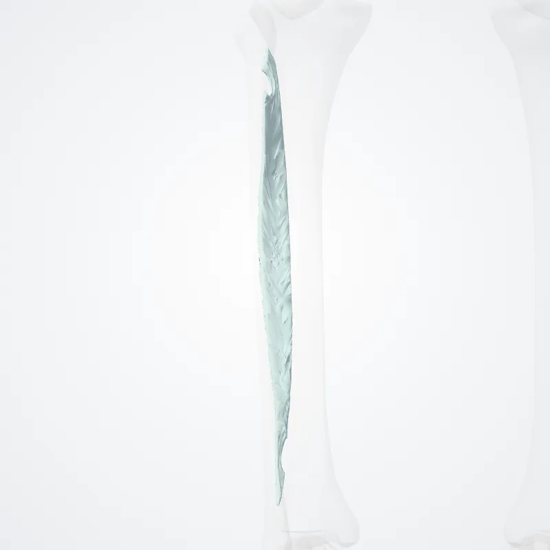 Membrana interossea cruris (Interosseous membrane of leg) hervorgehoben in einem 3D-Modell des menschlichen Körpers