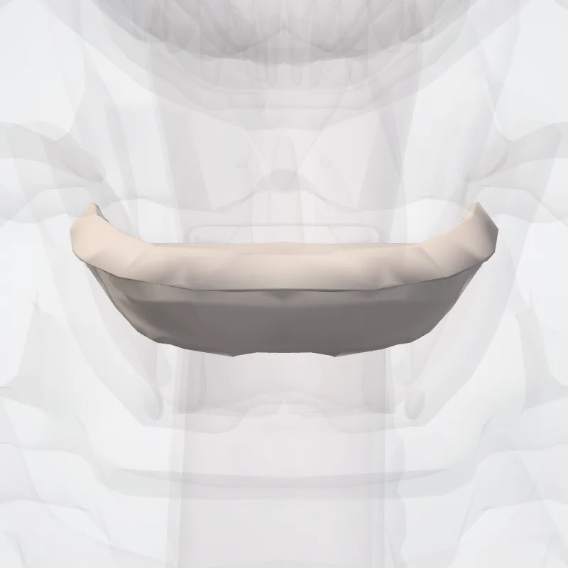 Intervertebral disc C5-C6 (Discus intervertebralis C5-C6) highlighted in a 3D model of the human body