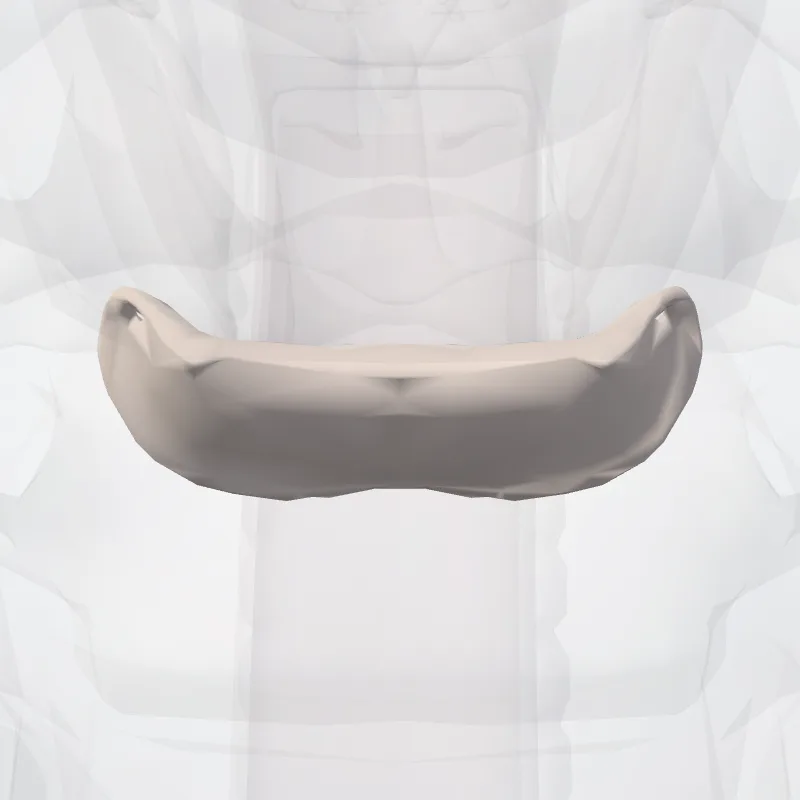 Intervertebral disc C6-C7 (Discus intervertebralis C6-C7) highlighted in a 3D model of the human body