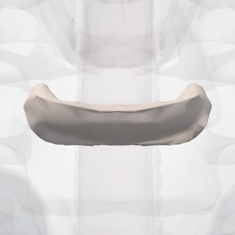 Intervertebral disc C7-T1 (Discus intervertebralis C7-T1) highlighted in a 3D model of the human body
