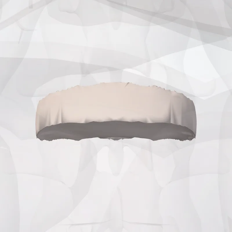 Discus intervertebralis L1-L2 (Intervertebral disc L1-L2) hervorgehoben in einem 3D-Modell des menschlichen Körpers