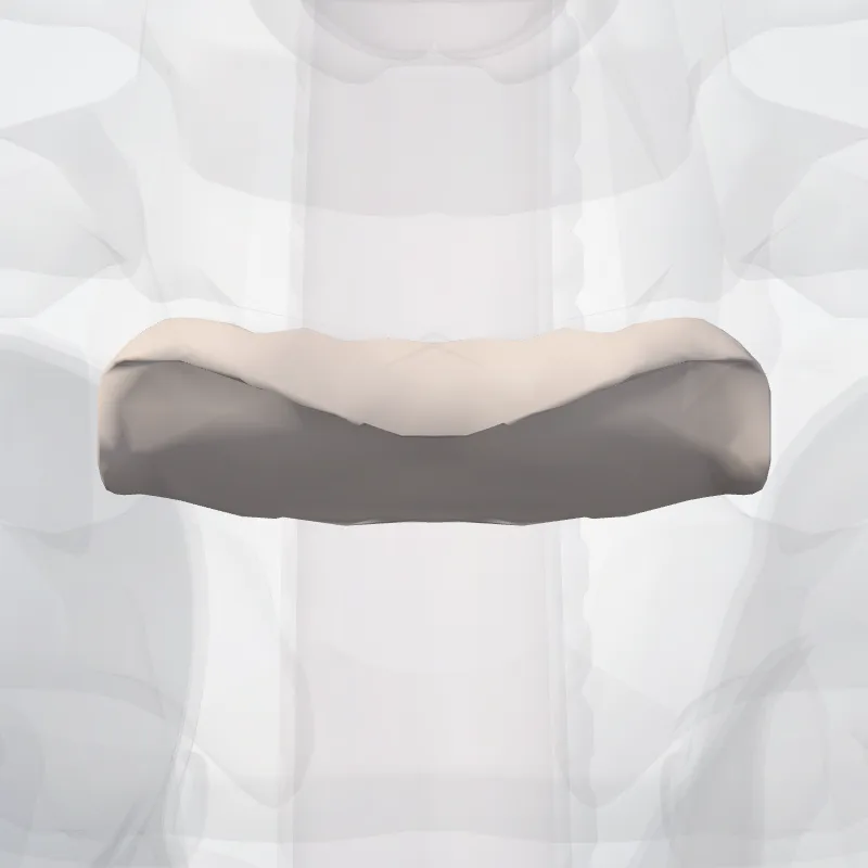 Intervertebral disc T1-T2 (Discus intervertebralis T1-T2) highlighted in a 3D model of the human body