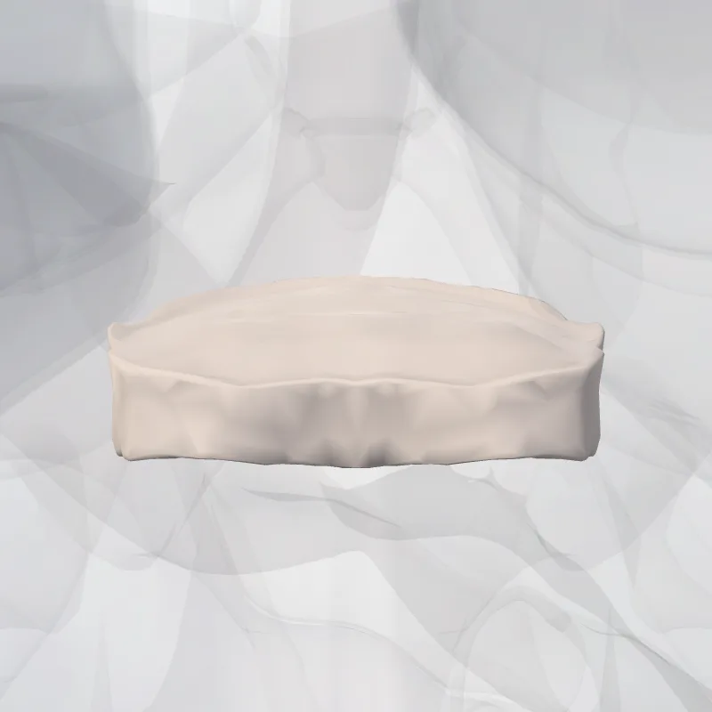 Discus intervertebralis T10-T11 (Intervertebral disc T10-T11) hervorgehoben in einem 3D-Modell des menschlichen Körpers