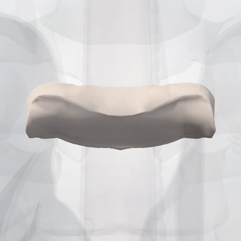 Discus intervertebralis T2-T3 (Intervertebral disc T2-T3) hervorgehoben in einem 3D-Modell des menschlichen Körpers