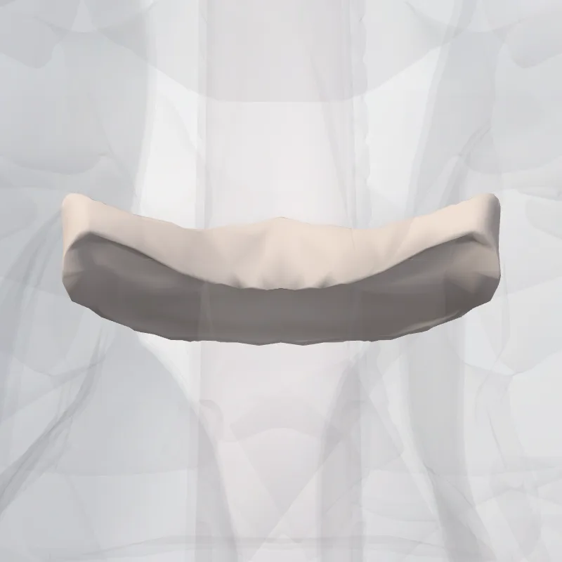 Discus intervertebralis T3-T4 (Intervertebral disc T3-T4) hervorgehoben in einem 3D-Modell des menschlichen Körpers