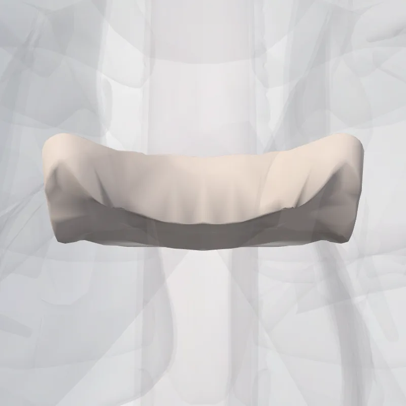 Intervertebral disc T4-T5 (Discus intervertebralis T4-T5) highlighted in a 3D model of the human body