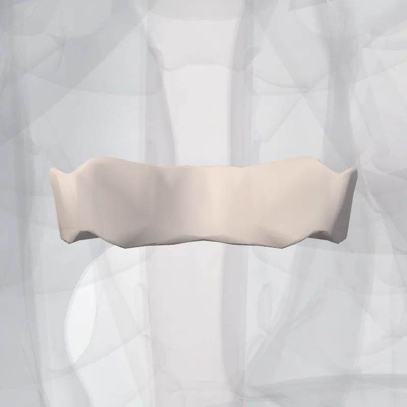 Discus intervertebralis T6-T7 (Intervertebral disc T6-T7) hervorgehoben in einem 3D-Modell des menschlichen Körpers