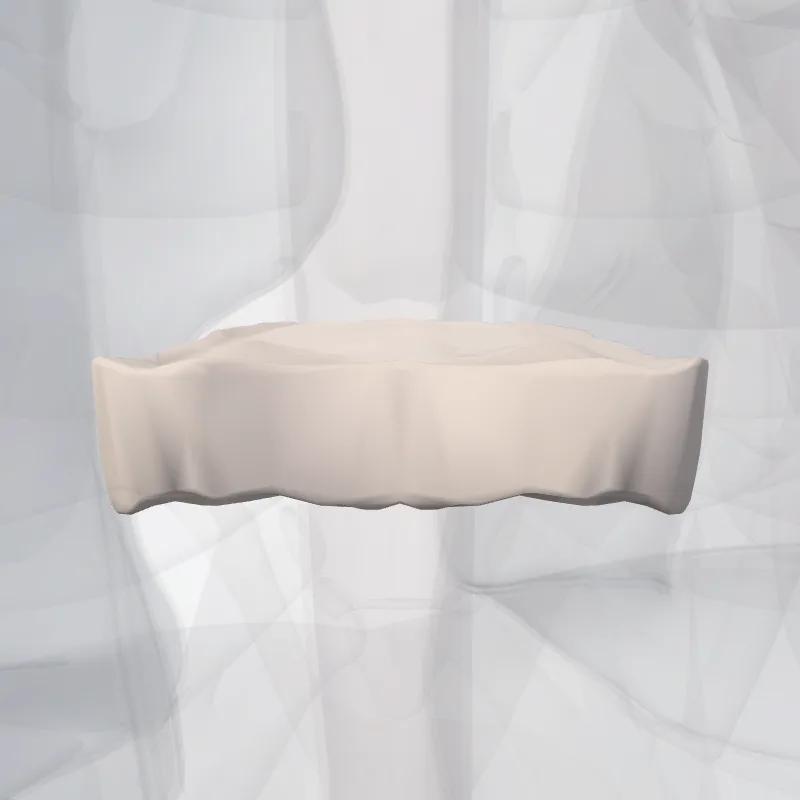 Intervertebral disc T7-T8 (Discus intervertebralis T7-T8) highlighted in a 3D model of the human body