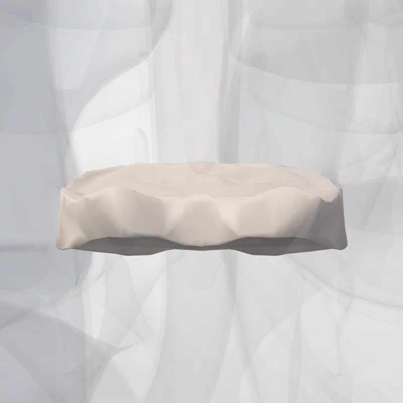 Intervertebral disc T8-T9 (Discus intervertebralis T8-T9) highlighted in a 3D model of the human body