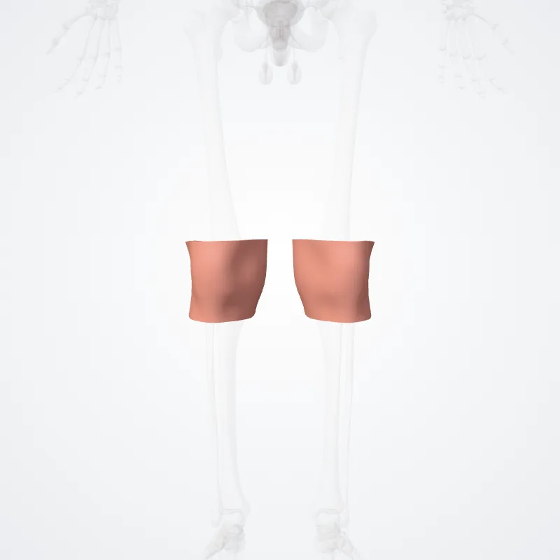 Regio genualis (Knee region) hervorgehoben in einem 3D-Modell des menschlichen Körpers