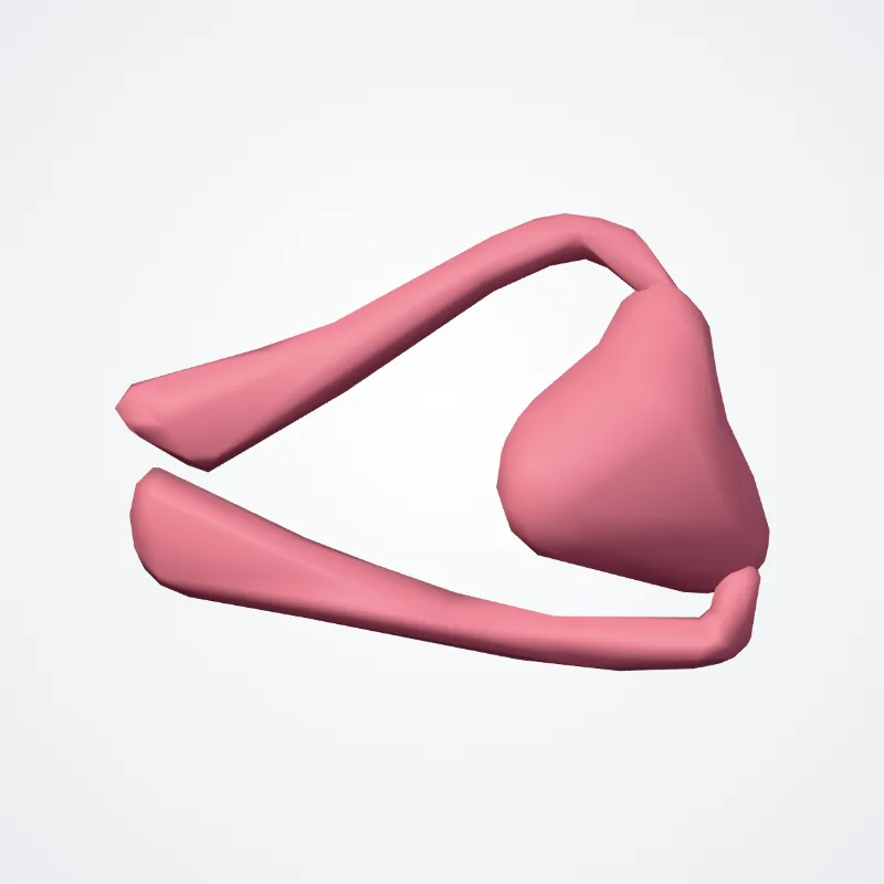Canaliculus lacrimalis (Lacrimal canaliculus) hervorgehoben in einem 3D-Modell des menschlichen Körpers