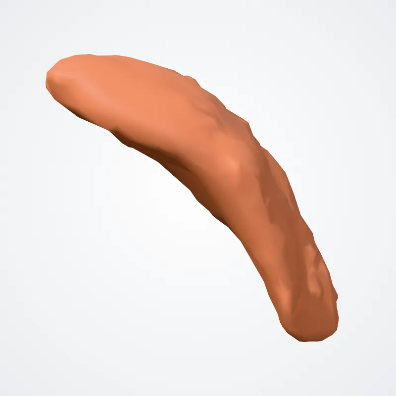 Glandula lacrimalis (Lacrimal gland) hervorgehoben in einem 3D-Modell des menschlichen Körpers