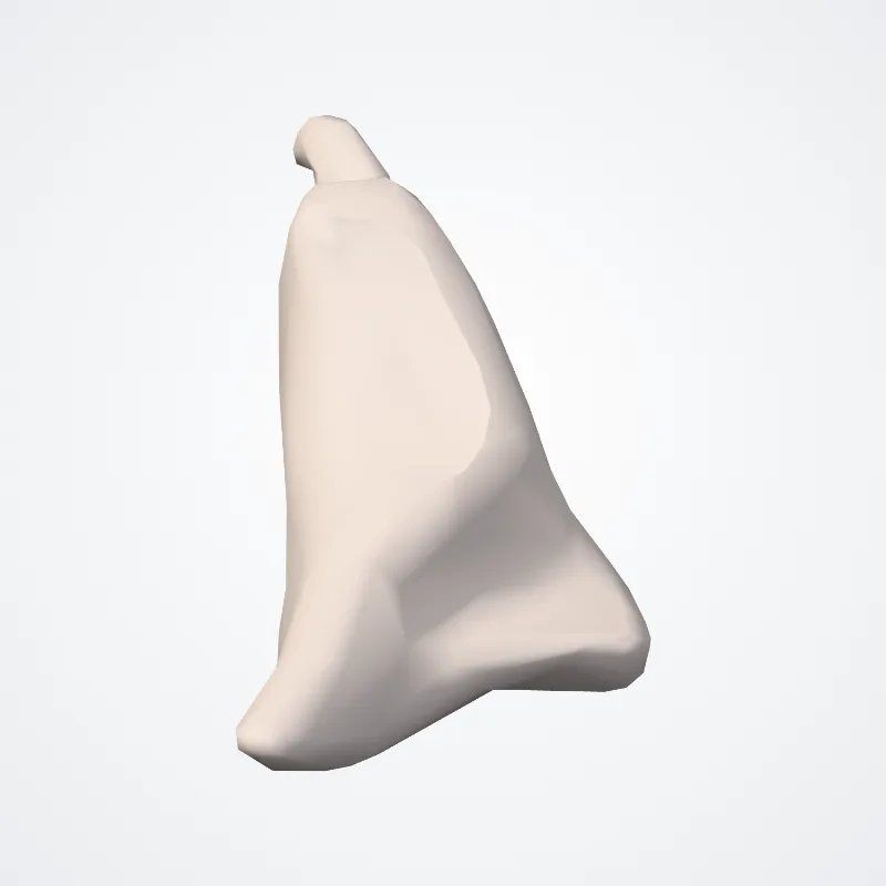 Cartilagines laryngis (Laryngeal cartilages) hervorgehoben in einem 3D-Modell des menschlichen Körpers