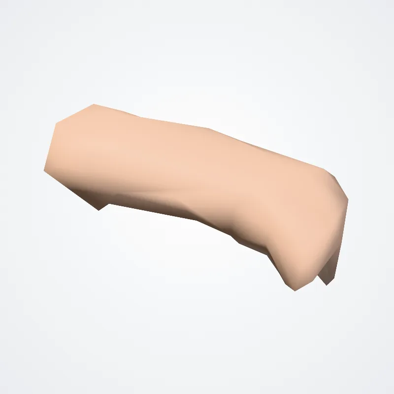 Lat_Fis-ant-Horizont hervorgehoben in einem 3D-Modell des menschlichen Körpers