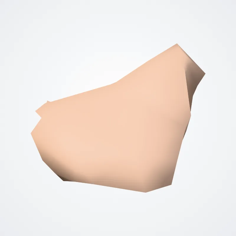 Lat_Fis-ant-Vertical hervorgehoben in einem 3D-Modell des menschlichen Körpers