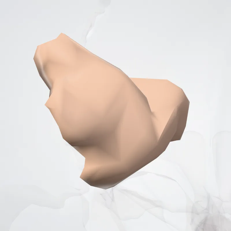 Lat_Fis-post hervorgehoben in einem 3D-Modell des menschlichen Körpers