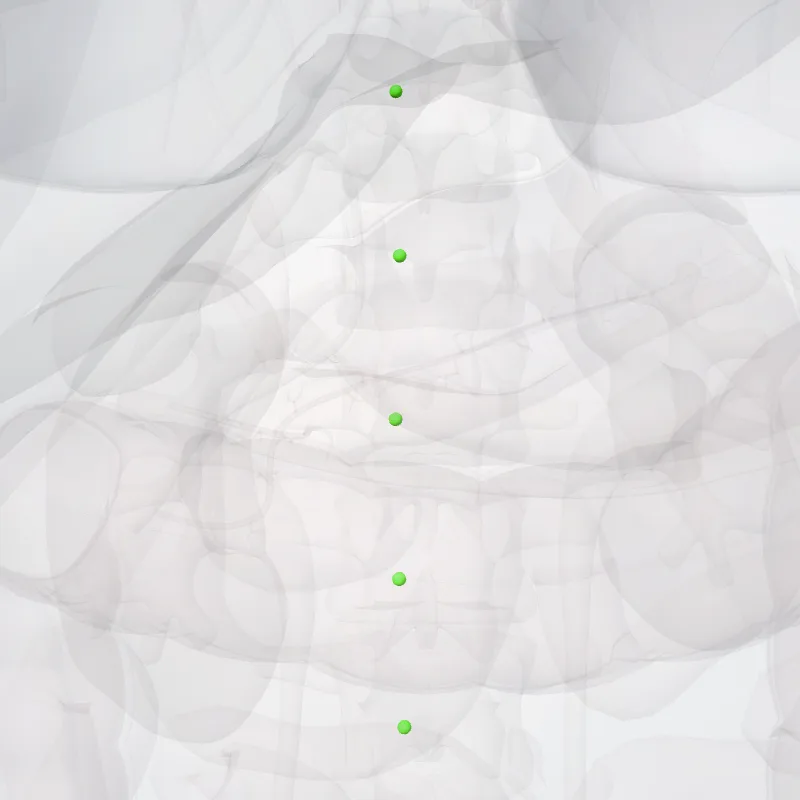 Nodi cavales latérales (Lateral caval nodes) hervorgehoben in einem 3D-Modell des menschlichen Körpers