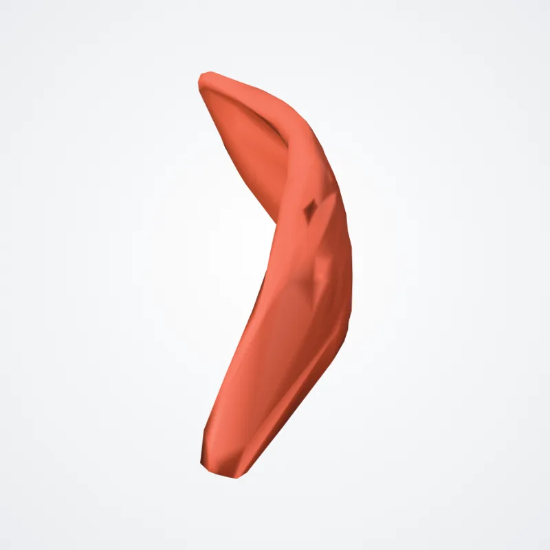 Lateral crico-arytenoid muscle (Musculus cricoarytendoideus lateralis) highlighted in a 3D model of the human body