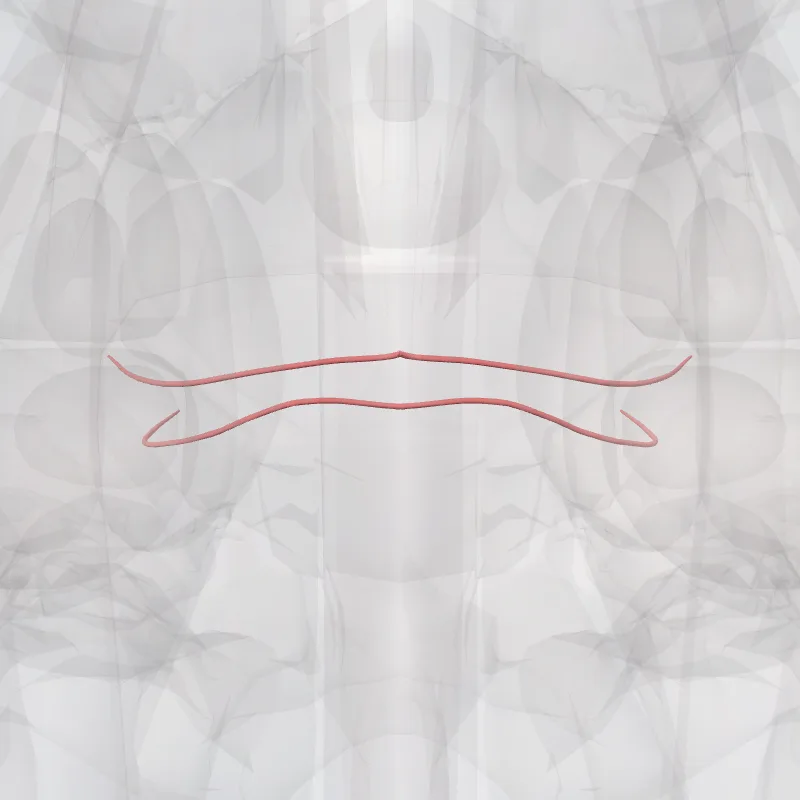 Lateral pontine branches of basilar artery (Rami laterales pontis arteriae basilaris) highlighted in a 3D model of the human body