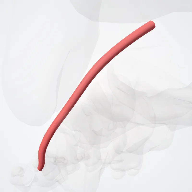Lateral tarsal artery (Arteria tarsea lateralis) highlighted in a 3D model of the human body