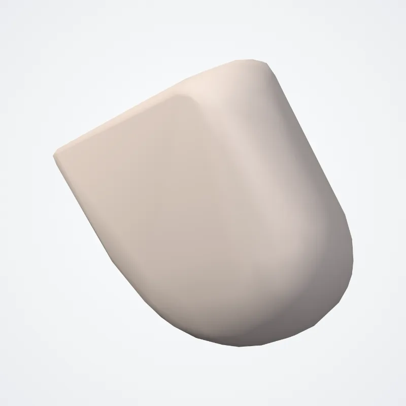 Left coronary leaflet (Valvula coronaria sinistra aortae) highlighted in a 3D model of the human body