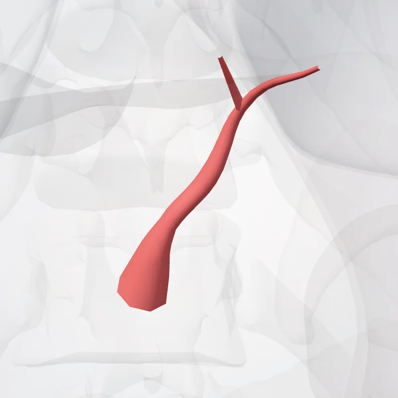 Arteria gastrica sinistra (Left gastric artery) hervorgehoben in einem 3D-Modell des menschlichen Körpers