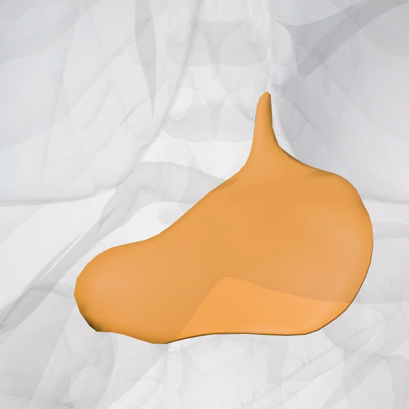 Lesser omentum (Omentum minus) highlighted in a 3D model of the human body