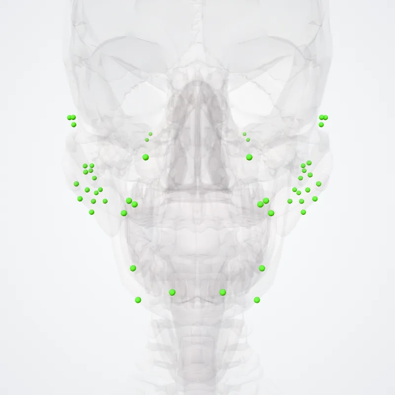 Nodi lymphoidei capitis (Lymph nodes of head) hervorgehoben in einem 3D-Modell des menschlichen Körpers