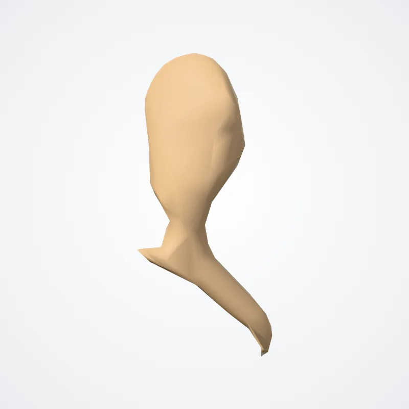 Malleus hervorgehoben in einem 3D-Modell des menschlichen Körpers