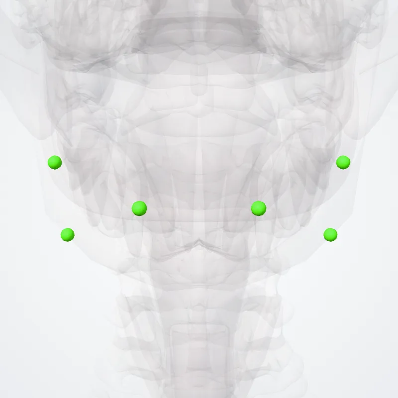 Mandibular node (Nodus mandibularis) highlighted in a 3D model of the human body