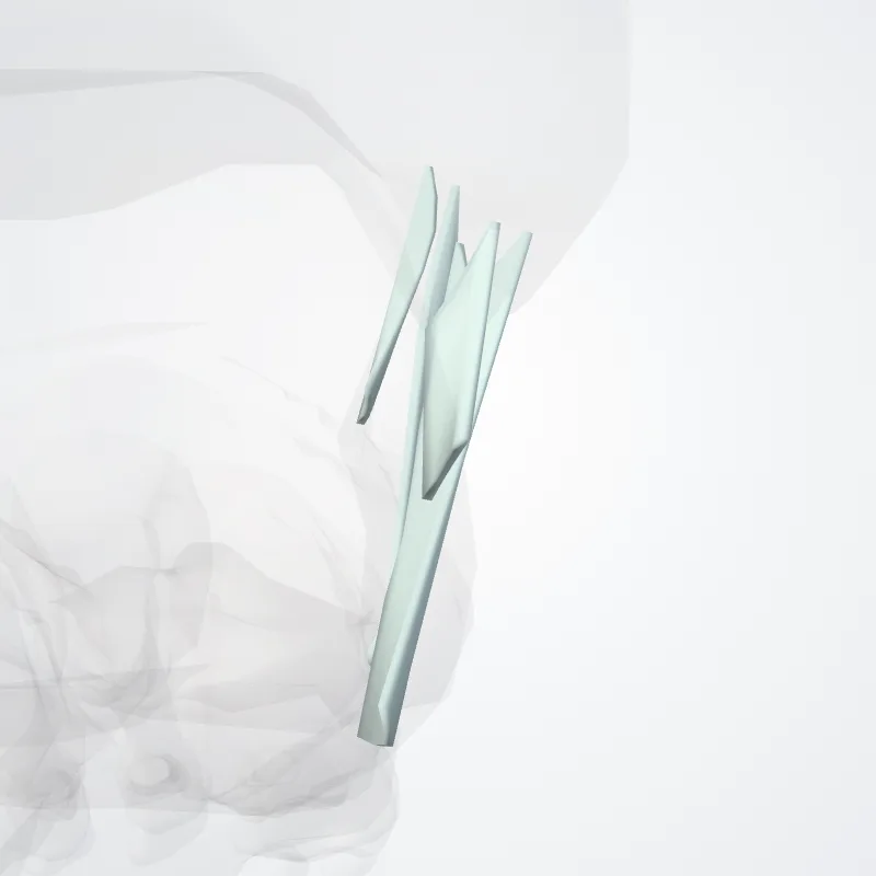 Ligamentum collaterale mediale articulationis talocruralis (Medial collateral ligament of ankle) hervorgehoben in einem 3D-Modell des menschlichen Körpers