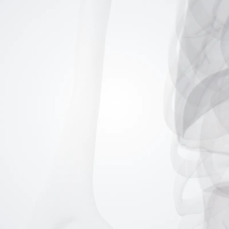 Medial intermuscular septum of arm (Septum intermusculare mediale brachii) highlighted in a 3D model of the human body