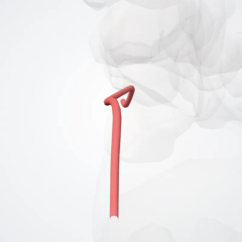 Medial plantar artery (Arteria plantaris medialis) highlighted in a 3D model of the human body
