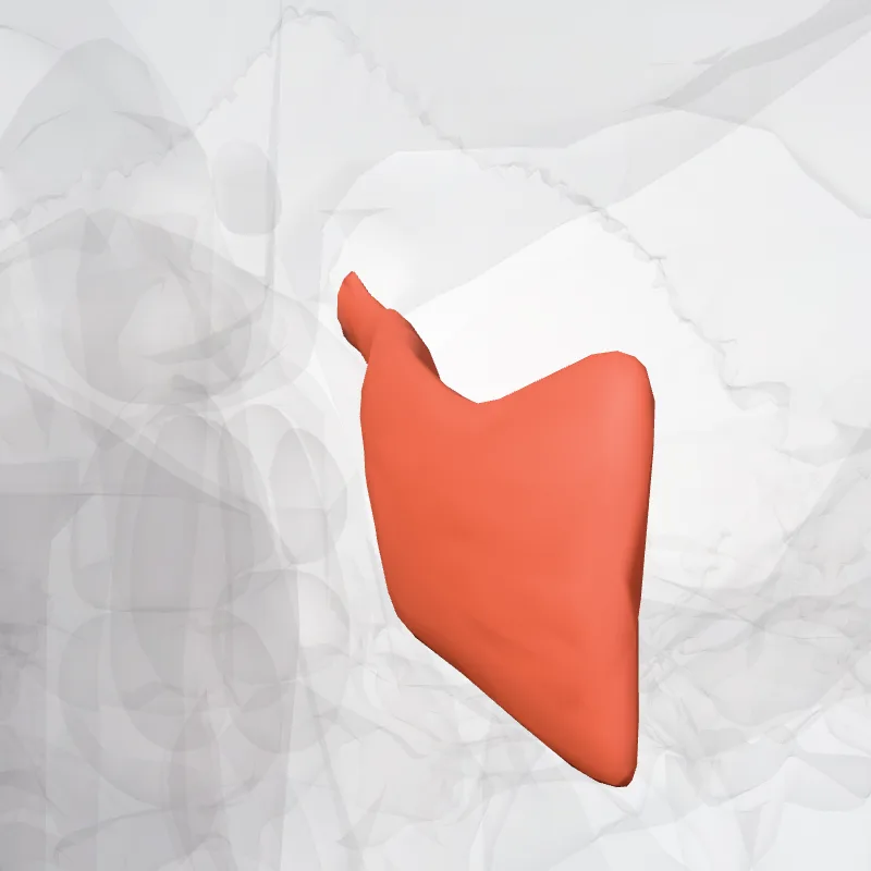 Medial rectus muscle (Musculus rectus medialis) highlighted in a 3D model of the human body