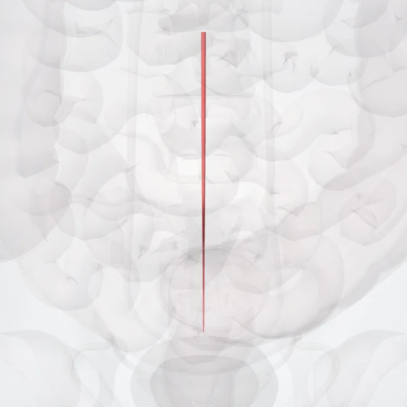Median sacral artery (Arteria sacralis mediana) highlighted in a 3D model of the human body