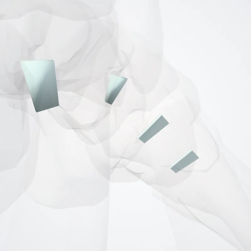 Ligamenta metatarsea interossea (Metatarsal interosseous ligaments) hervorgehoben in einem 3D-Modell des menschlichen Körpers