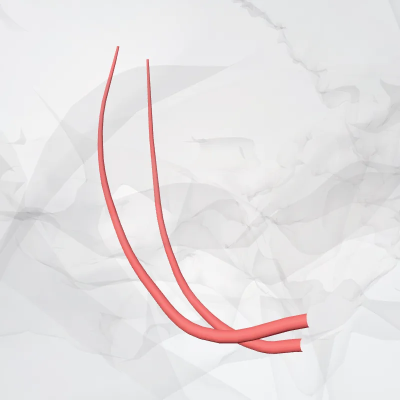 Middle meningeal artery (Arteria meningea media) highlighted in a 3D model of the human body