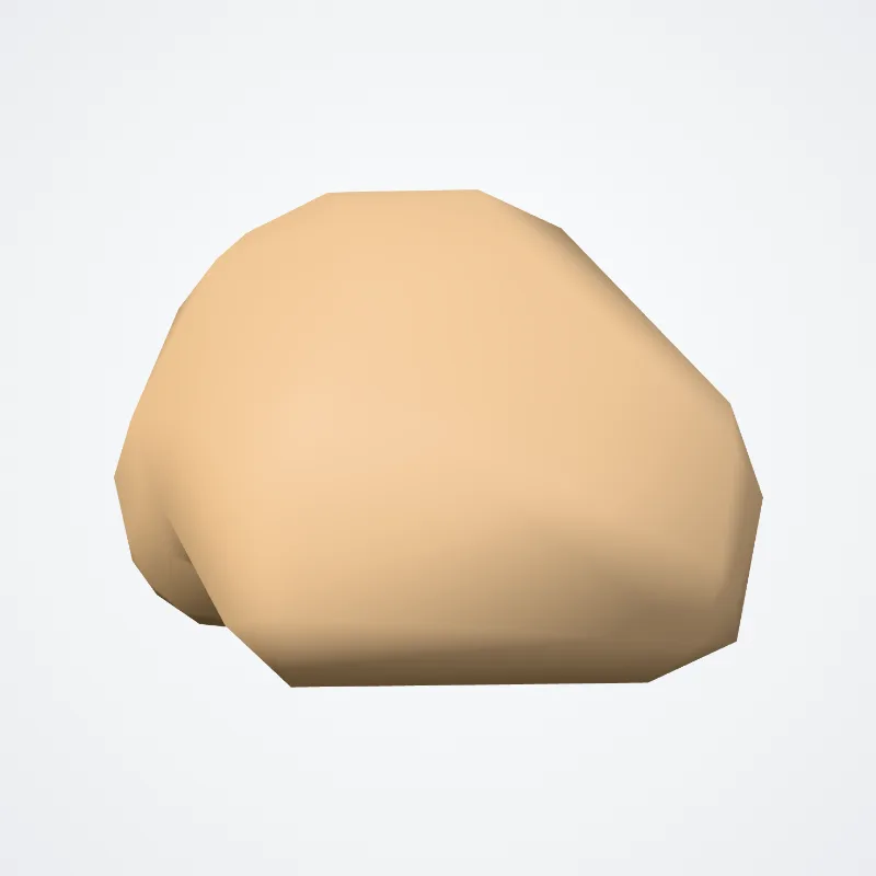 Middle phalanx of fifth finger of foot (Phalanx media quintum digitorum pedis) highlighted in a 3D model of the human body