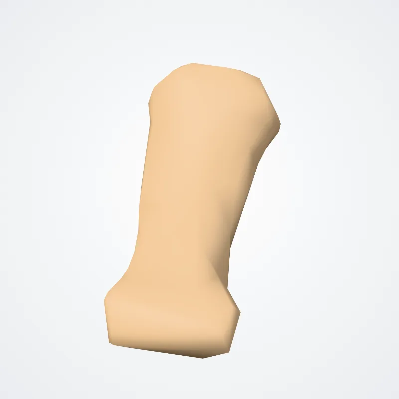 Phalanx media quintum digitorum manus (Middle phalanx of fifth finger of hand) hervorgehoben in einem 3D-Modell des menschlichen Körpers