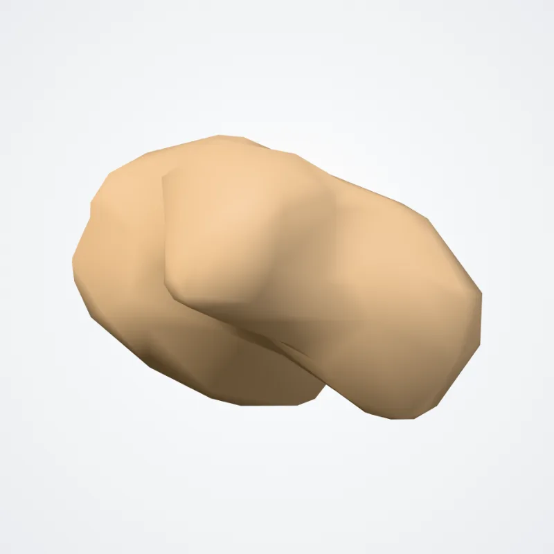 Phalanx media quartum digitorum pedis (Middle phalanx of fourth finger of foot) hervorgehoben in einem 3D-Modell des menschlichen Körpers