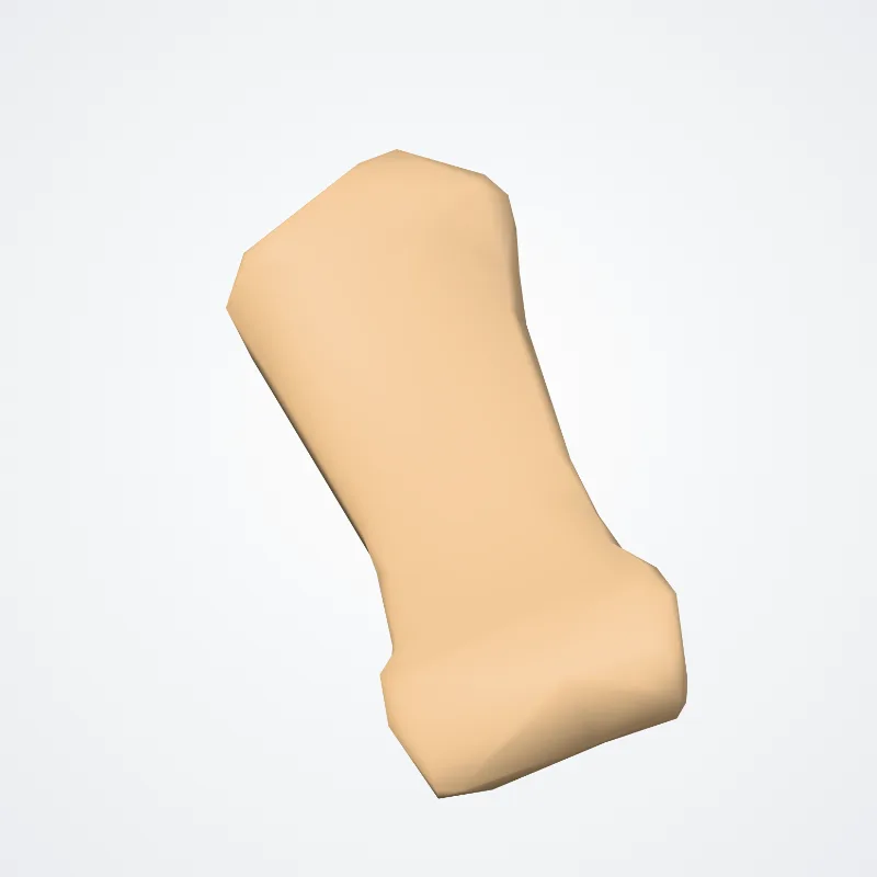 Middle phalanx of second finger of hand (Phalanx media scundum digitorum manus) highlighted in a 3D model of the human body